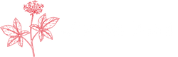 Cinseng Band